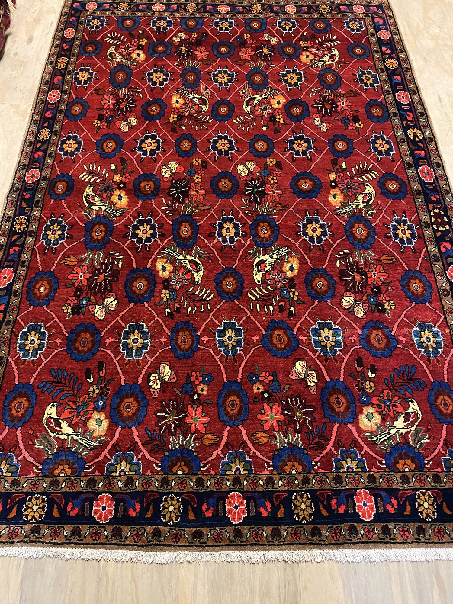 Tribal Hamedan Persian Rug