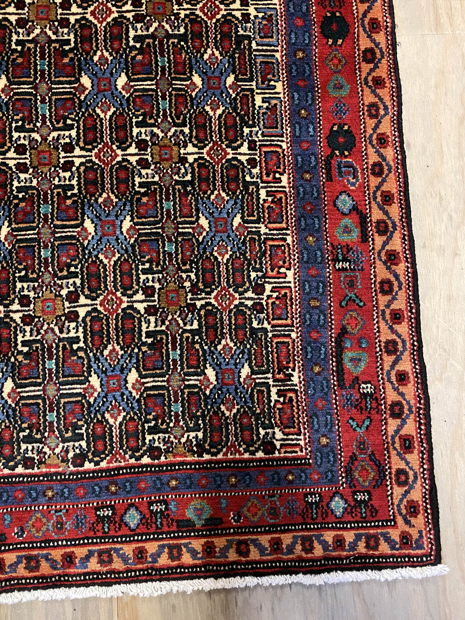 1.4x1.1M Kurdish Sanandaj Rug (Mahi) - Image 6