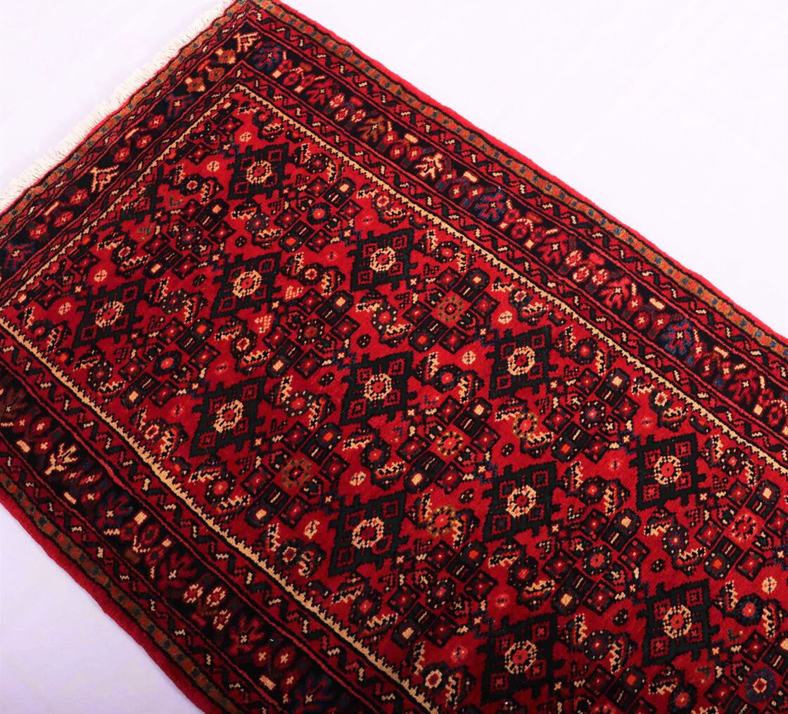 4M Hamedan Persian Hall Runner (Hosseinabad) - Image 6