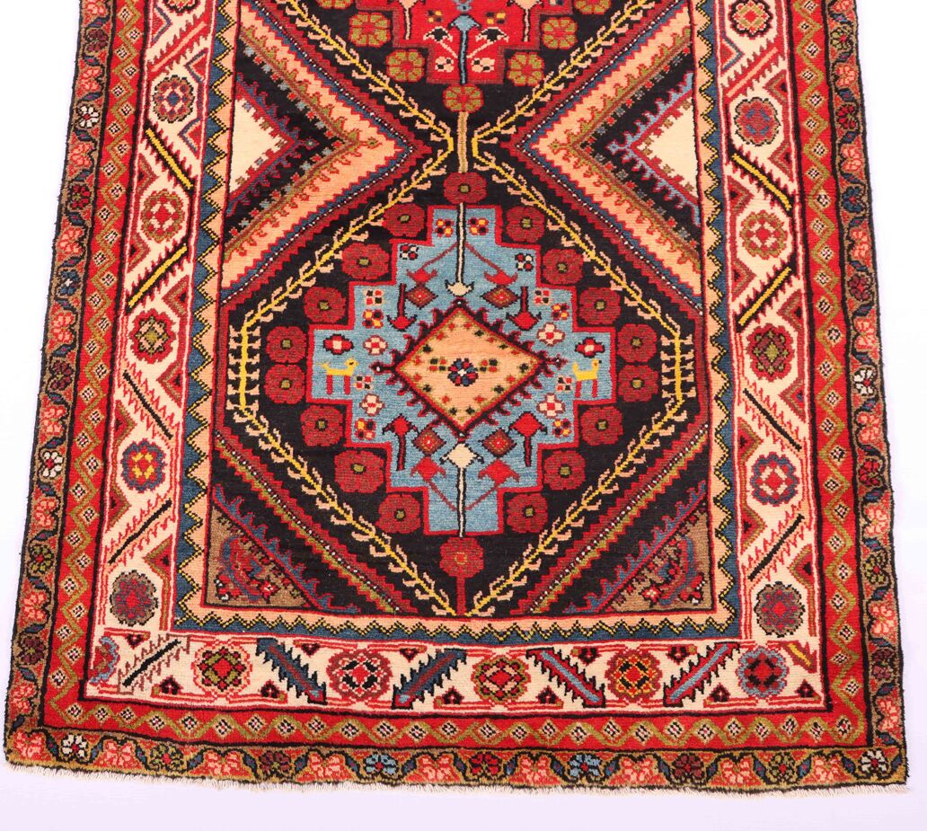 bakhtiari runner