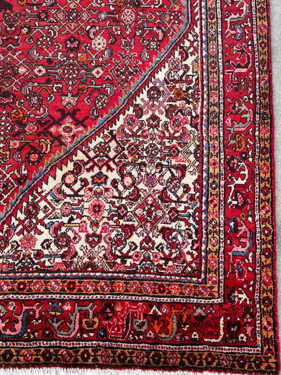 3.2x2.1M Herati Hamedan Rug - Image 10