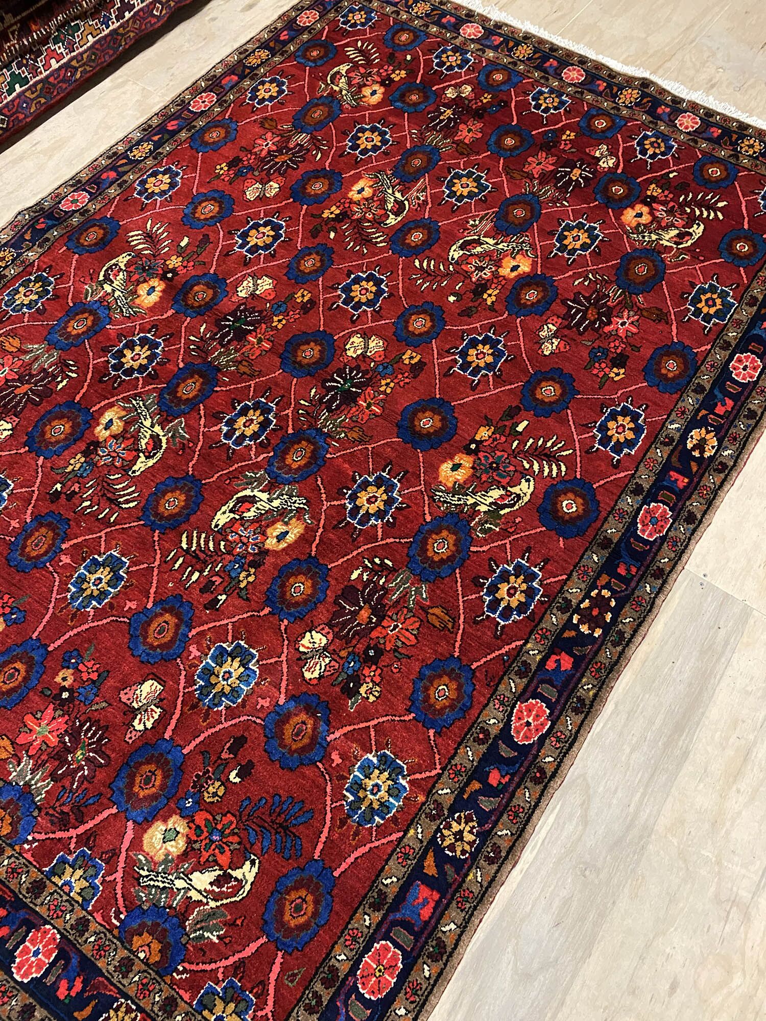 Tribal Hamedan Persian Rug - Image 6