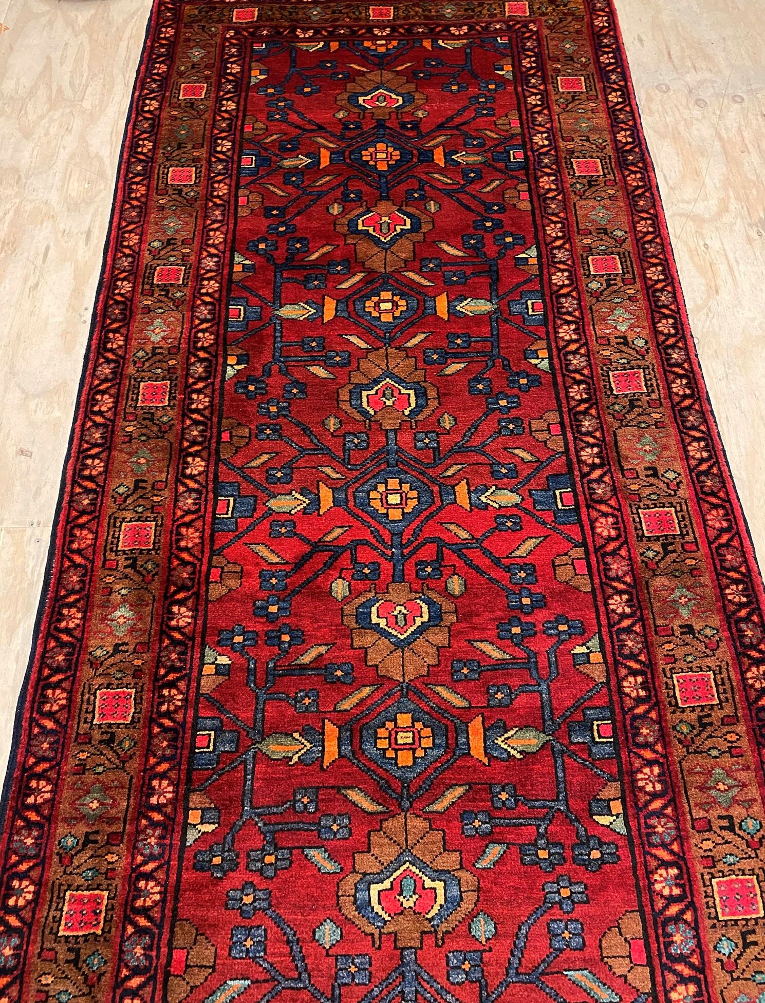 5M Persian Azarbaijan Runner