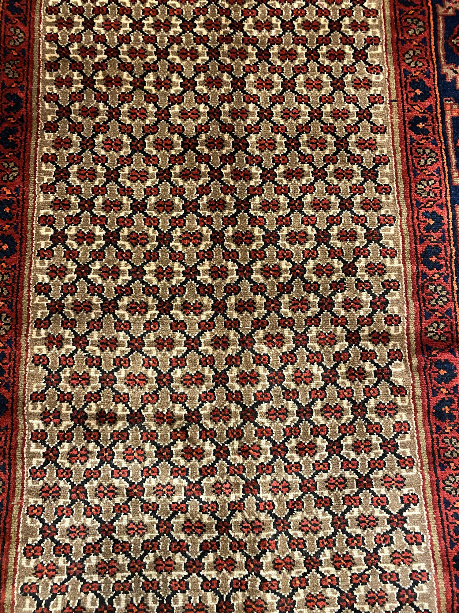 Koliai Runner - Image 6
