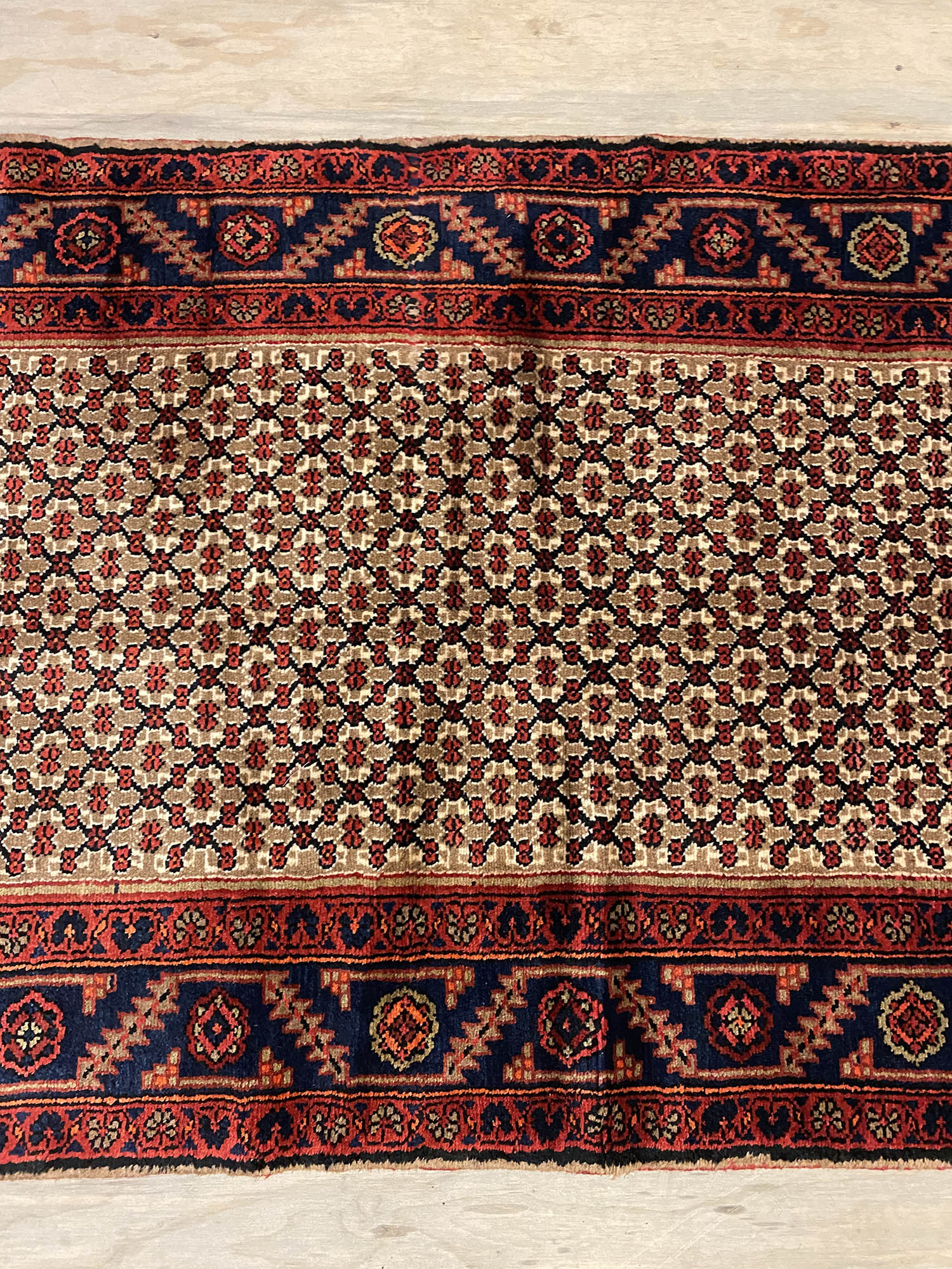 Koliai Runner - Image 3