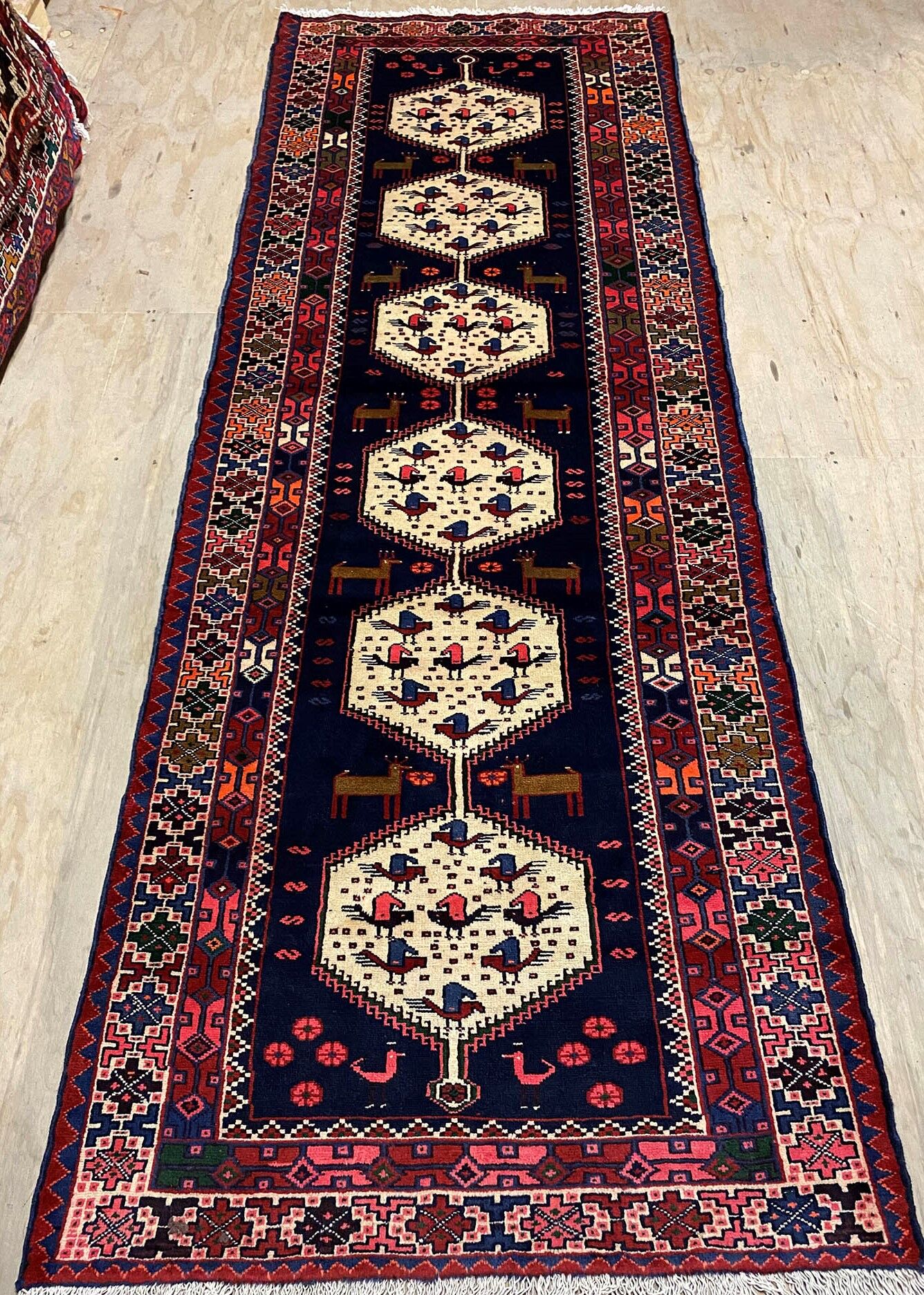 2.8M Saveh Runner - Image 4