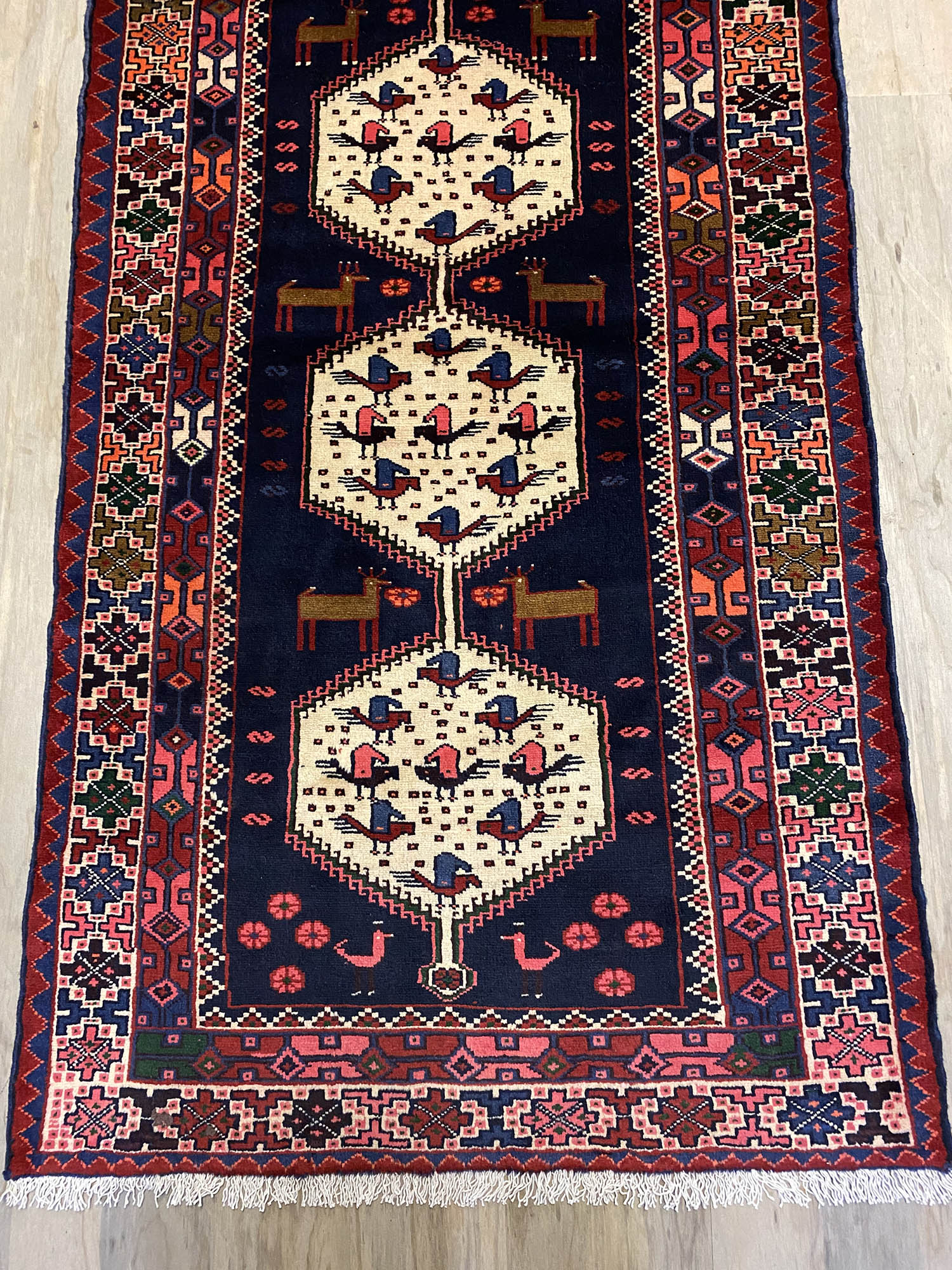 2.8M Saveh Runner - Image 5