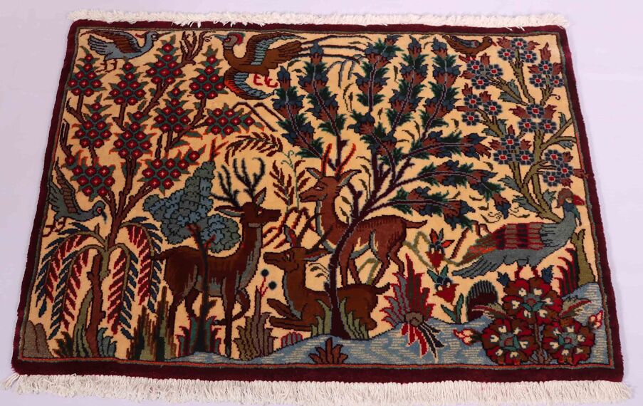 1x0.7M Garden Design Kashmar Rug - Image 3