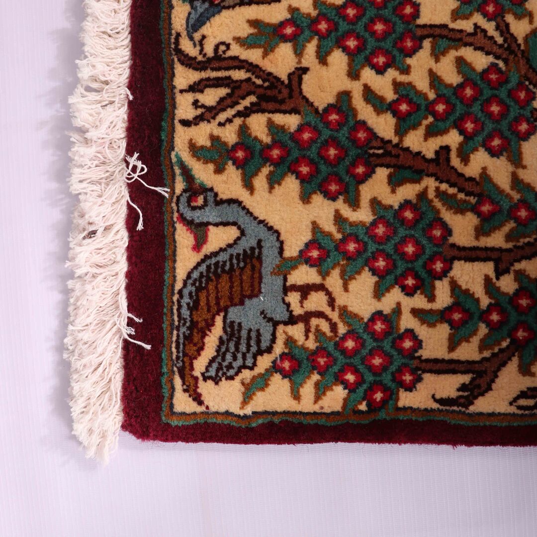 0.9x0.7M Garden Design Kashmar Rug - Image 5
