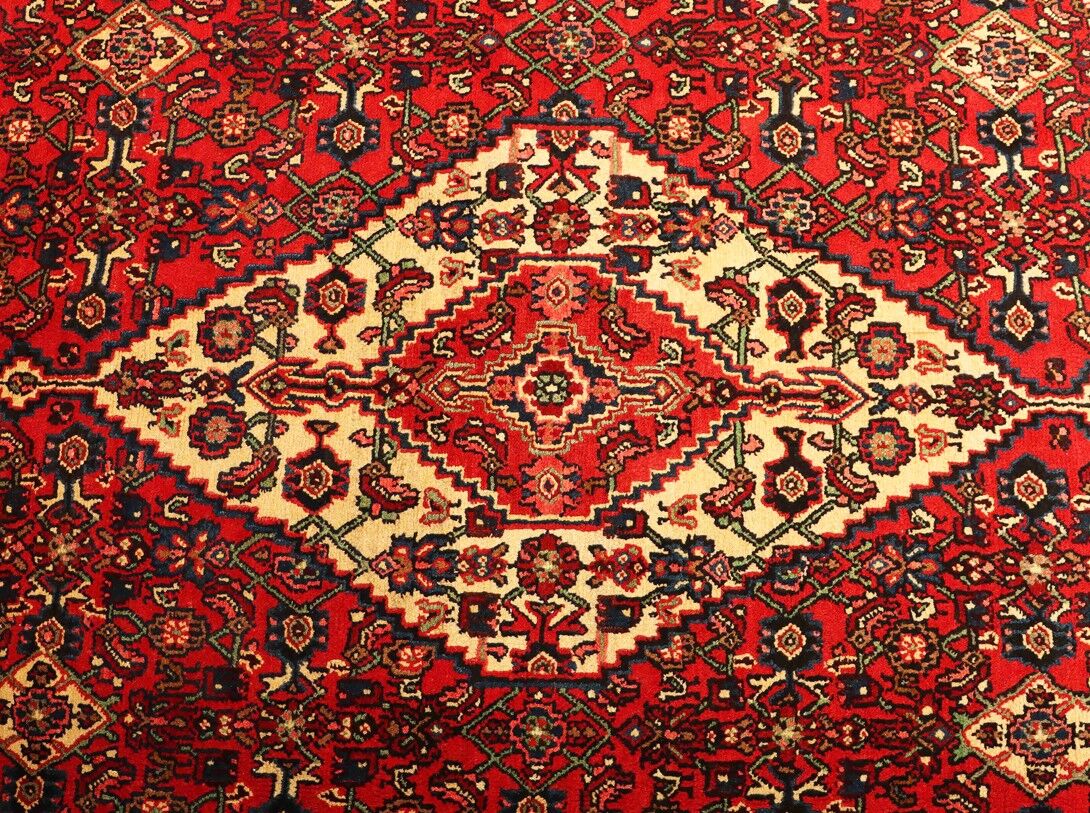 3.2x2.4M Herati Enjelas Rug - Image 3