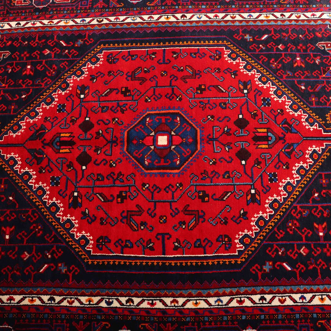 3.2x1.6M Tuserkan Tribal Rug - Image 2