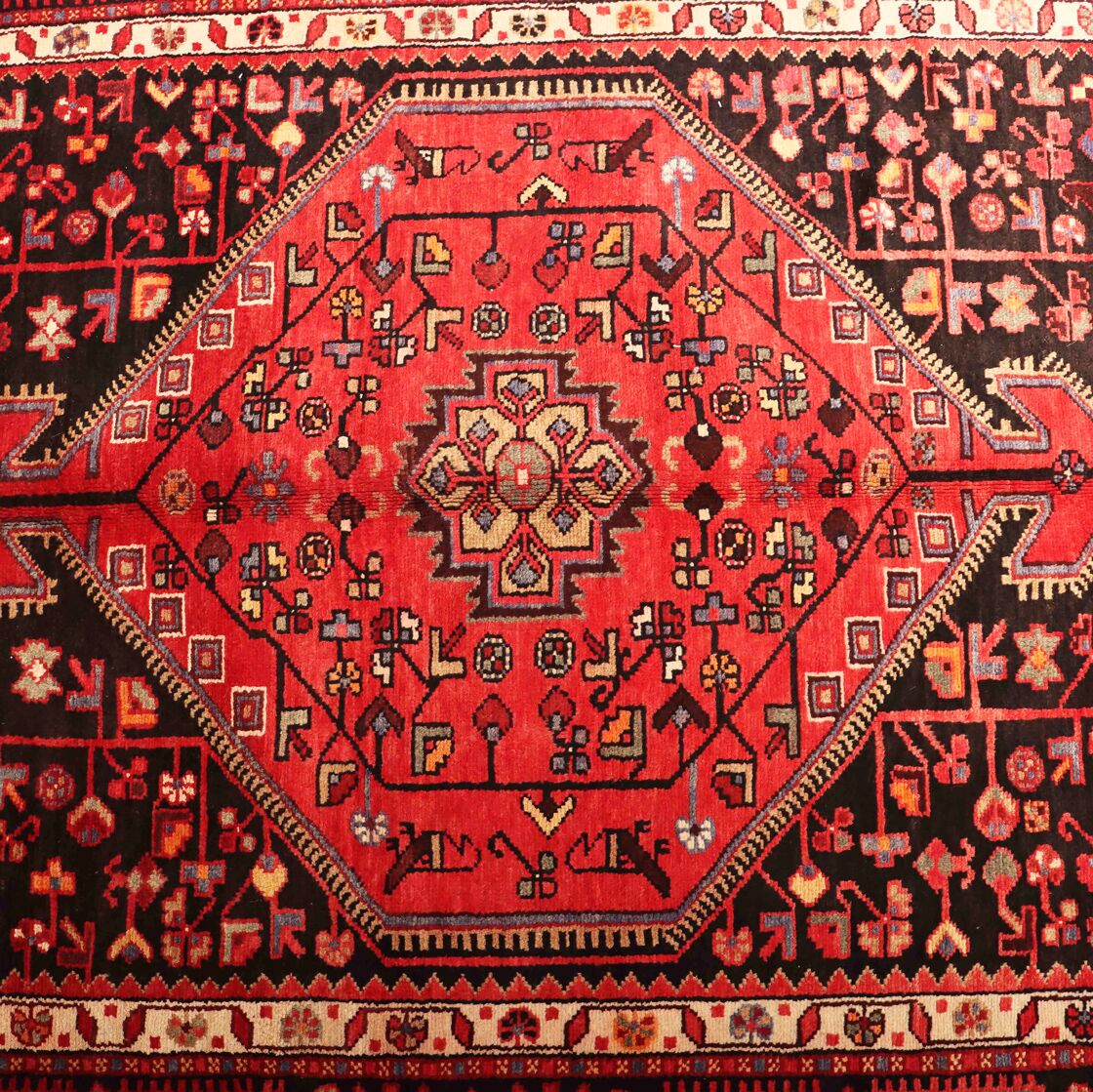 3.1x1.6M Tuserkan Tribal Rug - Image 3