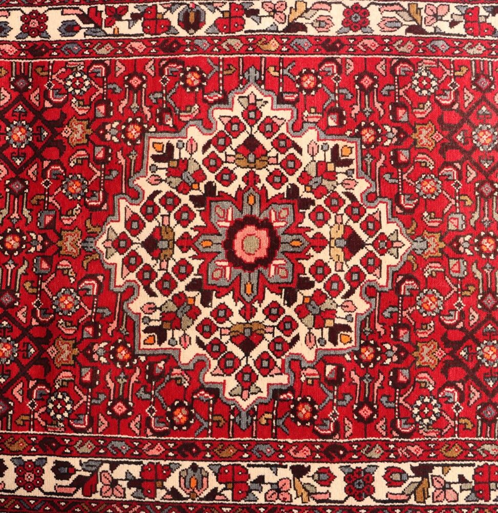 3M Hamedan Persian Runner