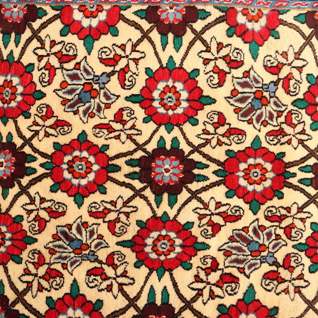 mashad runner
