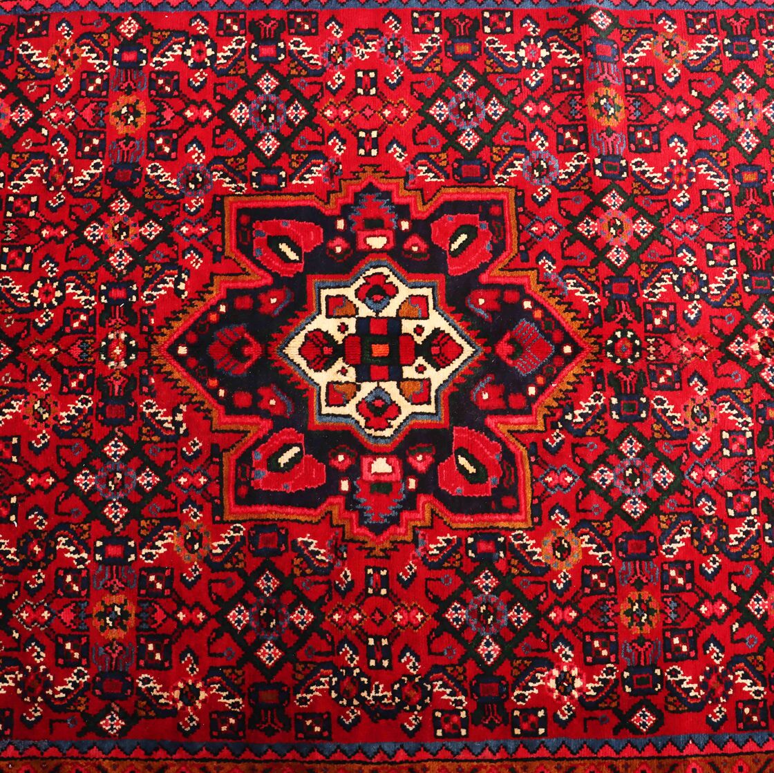 3.3x1.6M Hamadan Persian Rug - Image 3
