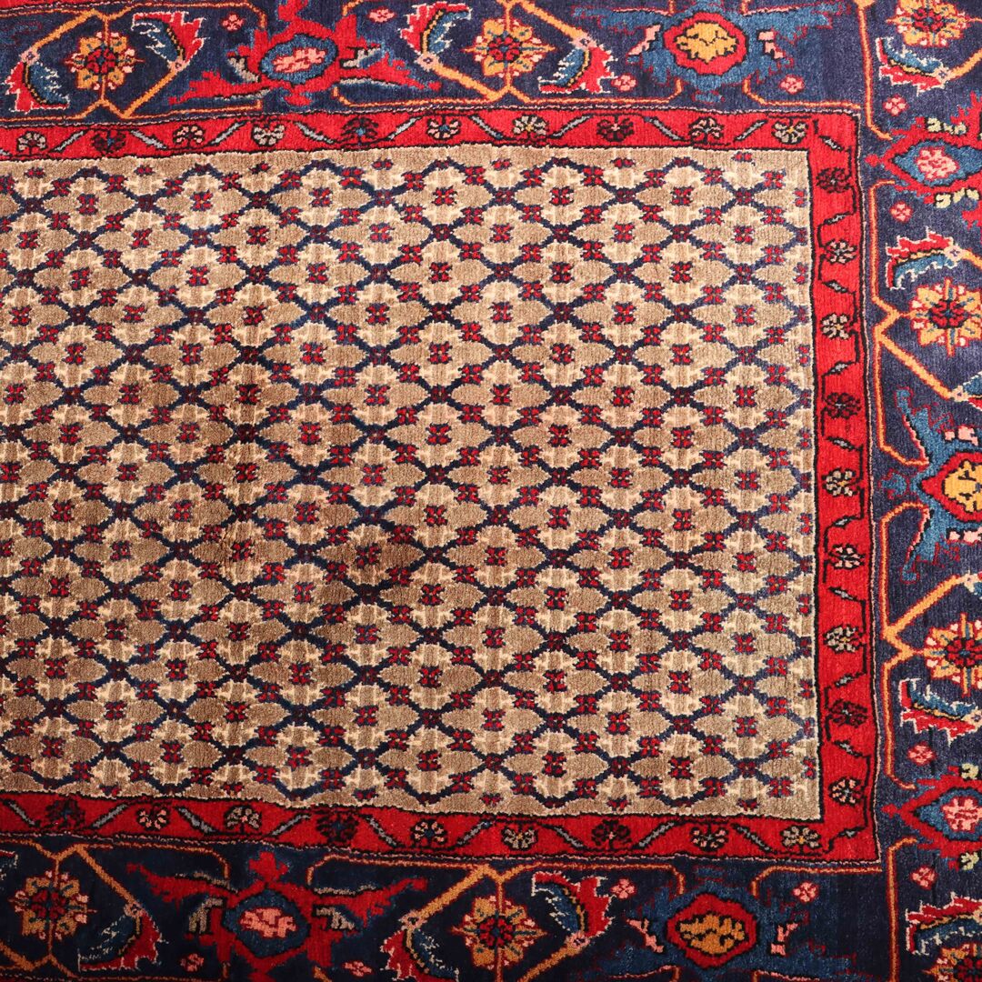 3x1M Koliai Runner - Image 6